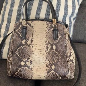 Coach Minetta Snakeskin Crossbody